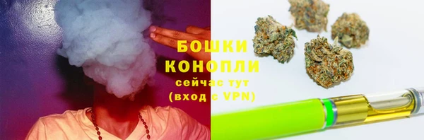 стаф Нефтегорск