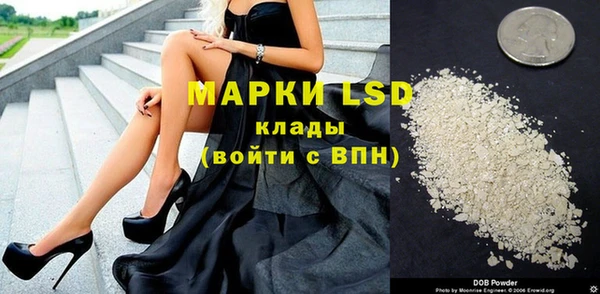 тгк Нея
